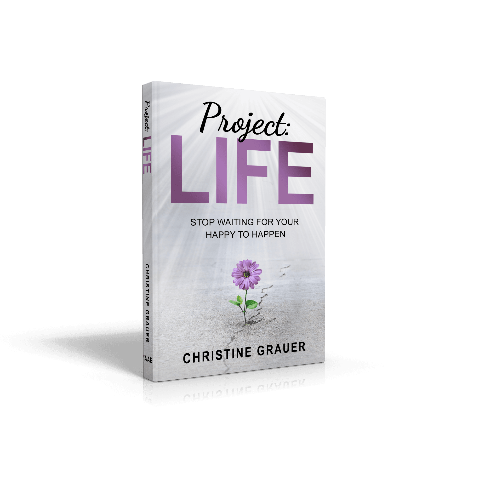 Christine Grauer - Speaker, Author, Coach gallery image 5