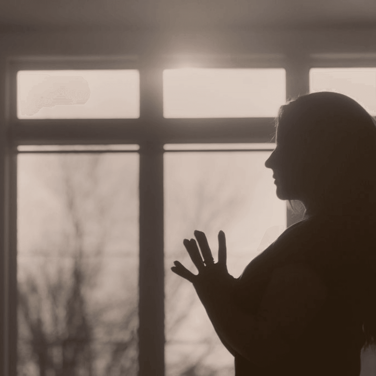 espace OASIS gallery image 1