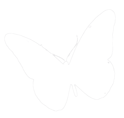 Danielle St-Cyr Hypnothérapeute gallery image 2