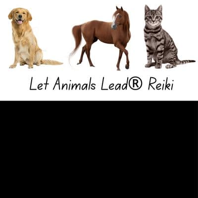 White Feather Holistic Arts gallery image 4