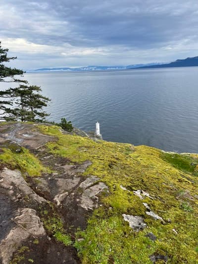 Soulutions Counselling gallery image 5