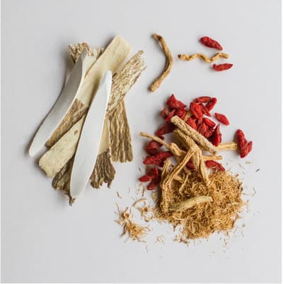 Vital Point Acupuncture & Holistic Health gallery image 3