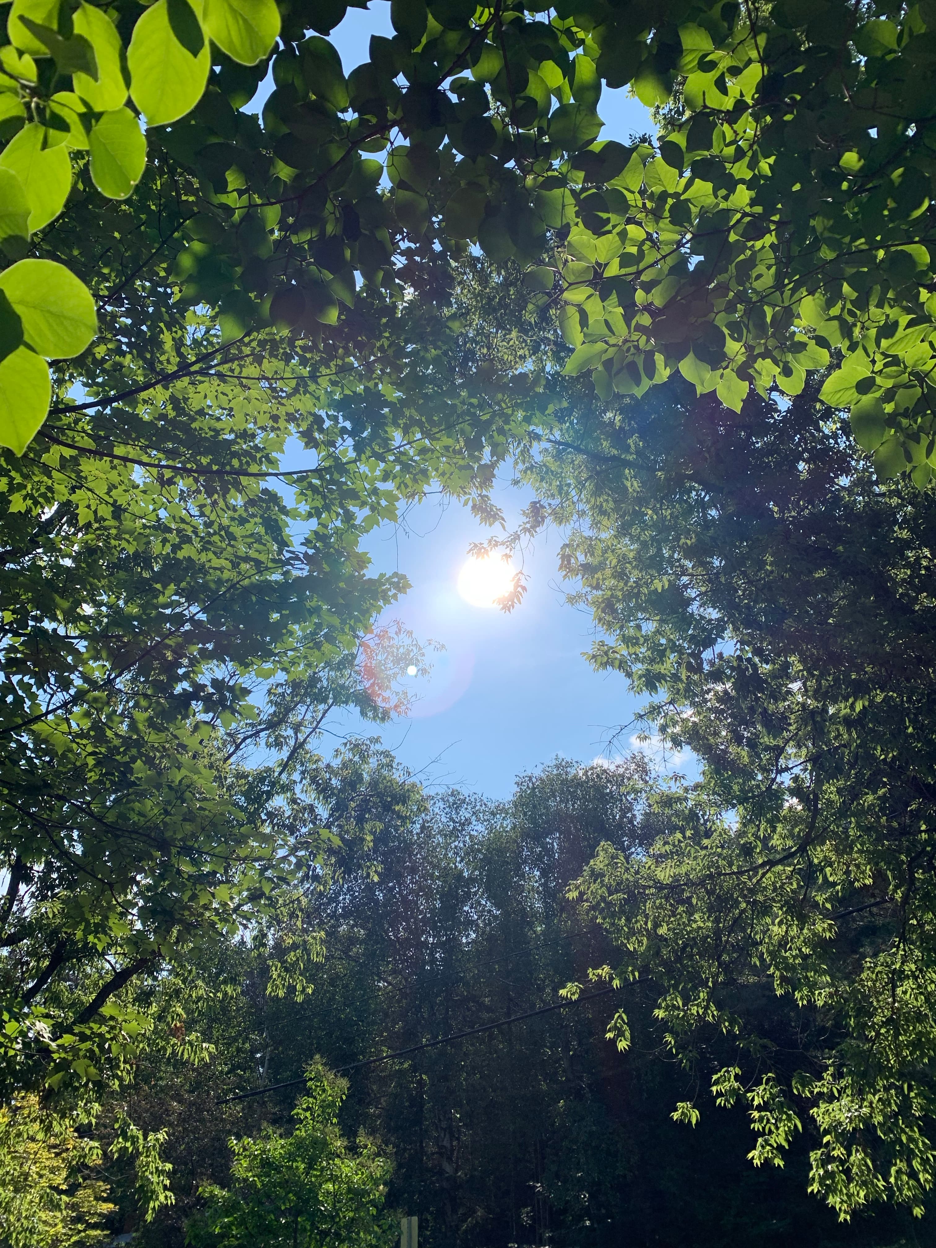 Divine Awakening Wellness Centre gallery image 1