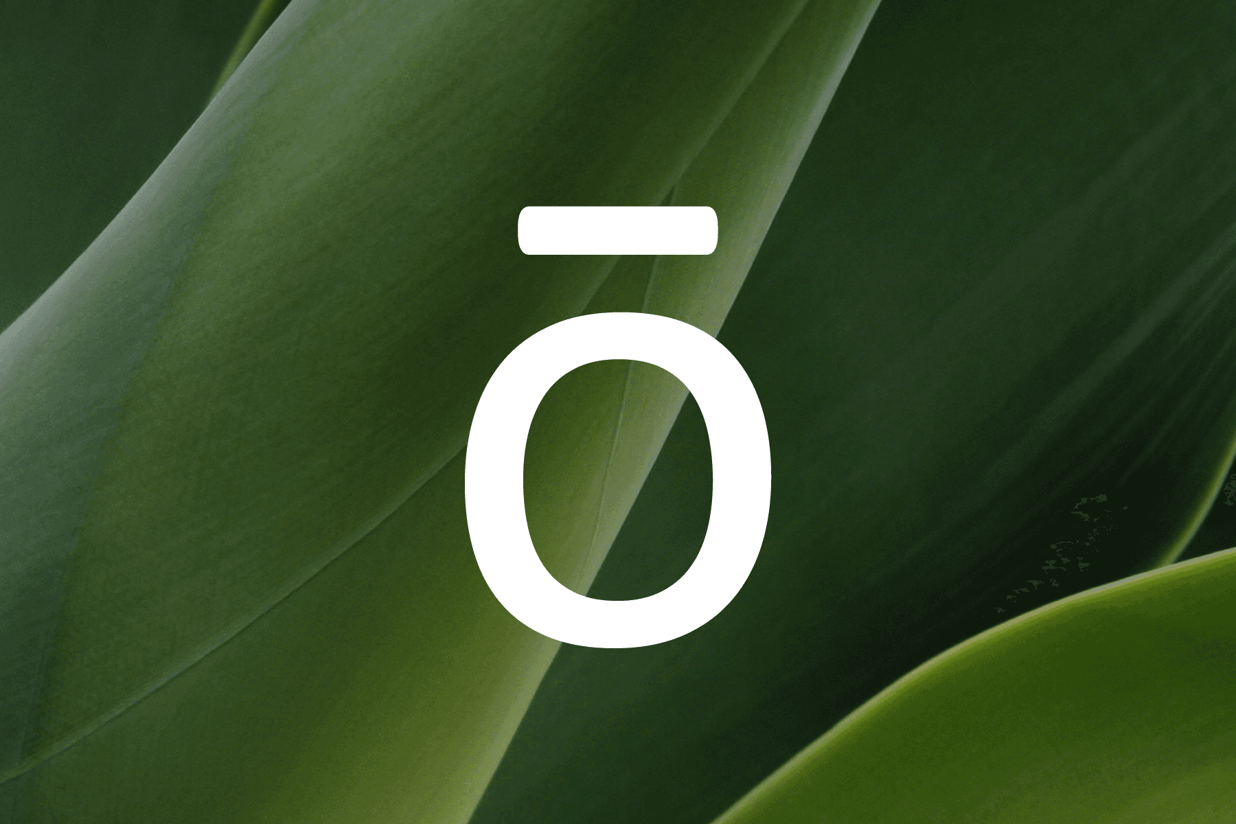 Aux petits soins de Camomille