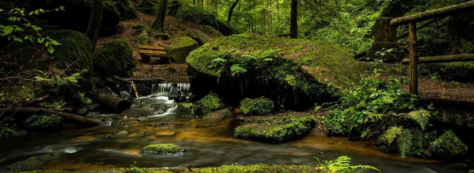 Earth Sisters Healing Centre gallery image 2