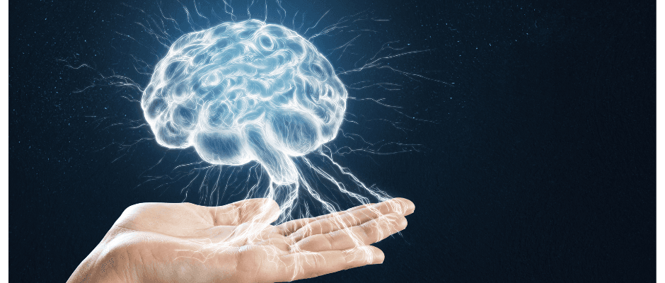 Elena Petrescu - Hypnotist