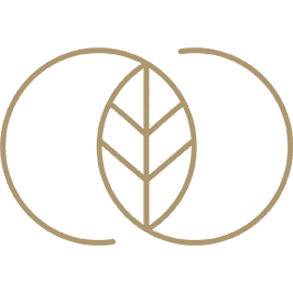 Elise BENIA I Thérapeute & Coach Certifiée I Kinésiologie Energétique I Approche Holistique gallery image 2