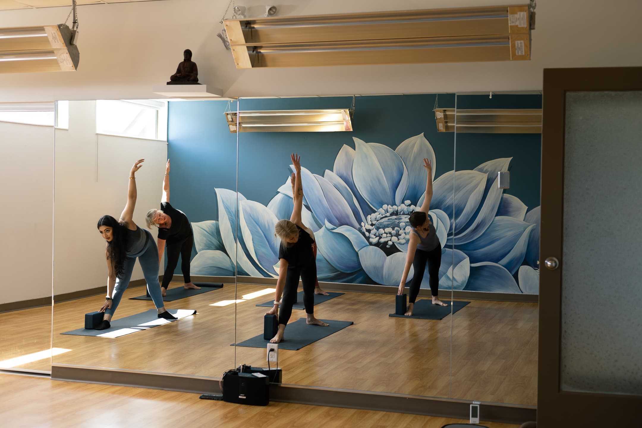 Evolution Pilates & Yoga Studio's Ltd gallery image 4