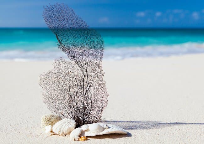 Gentle Currents Therapy - Counselling and Neurofeedback gallery image 5