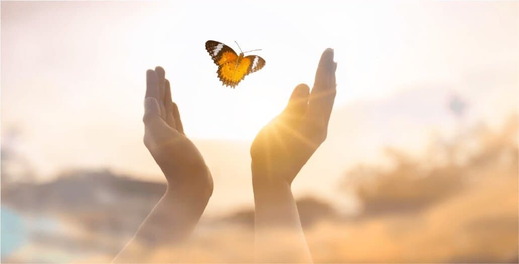 Guelph-Wellington Women in Crisis gallery image 3