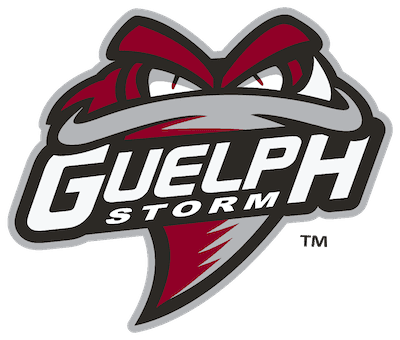 Guelph-Wellington Women in Crisis gallery image 1