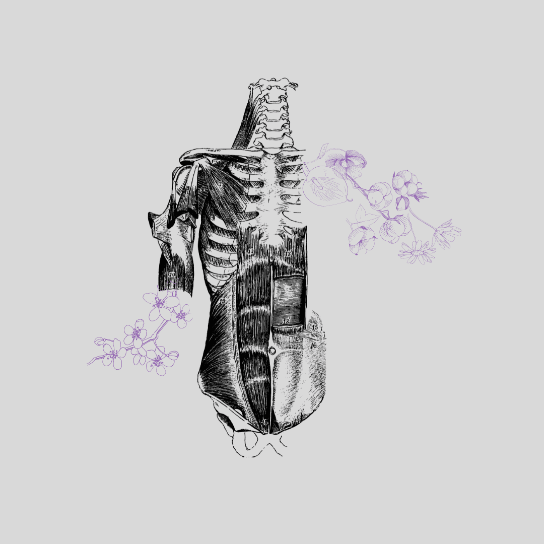 Happy Bones Osteopathy & Wellness Clinic gallery image 2