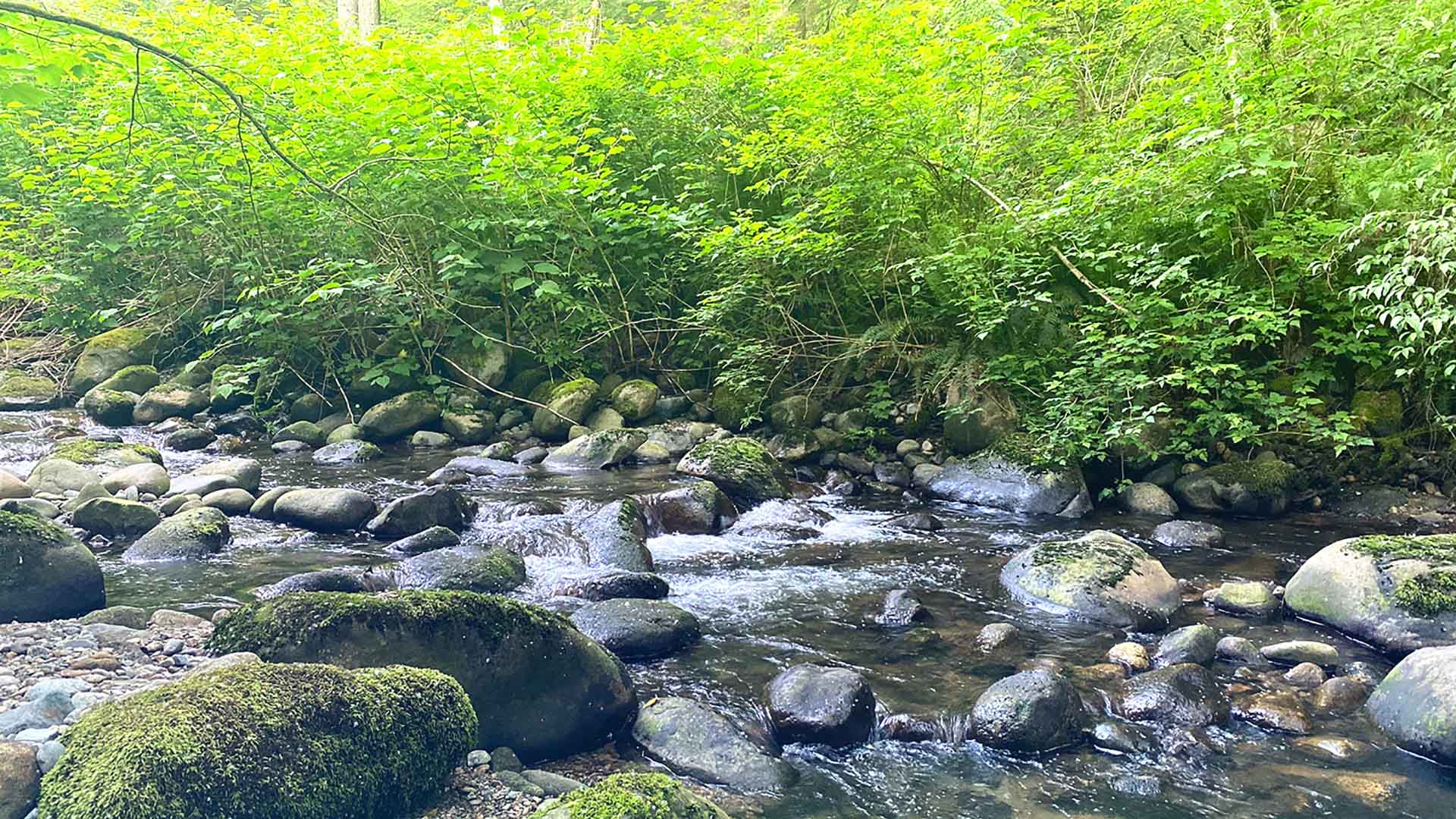 Heemang Emotional Wellness gallery image 5