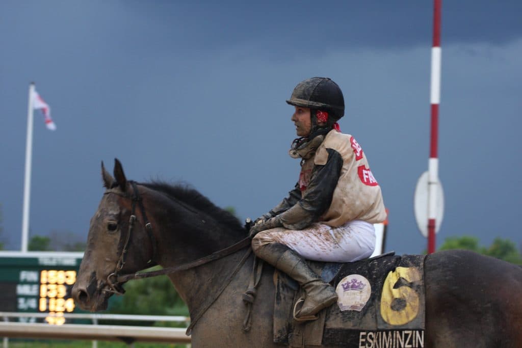 The Healing Movement Ltd.