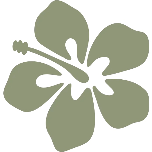 Hibiscus Massage gallery image 2