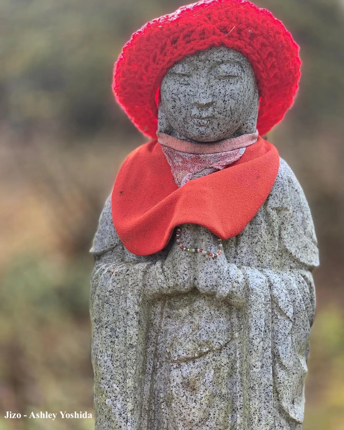 Mountain Rain Zen Community