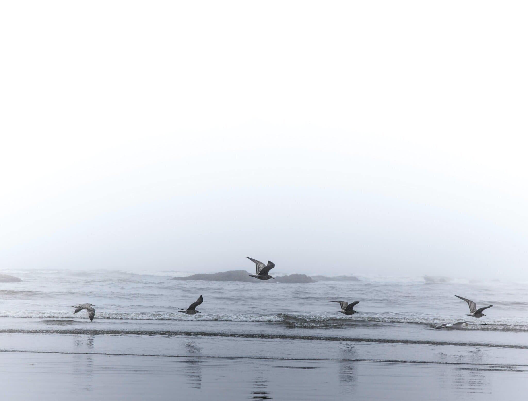 Kelly Aiello RHN gallery image 2