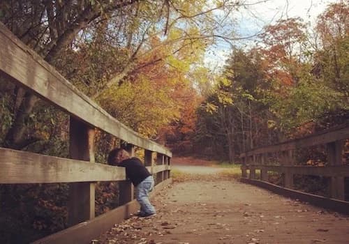 Firefly Counselling and Consulting - Sherwood Park gallery image 3