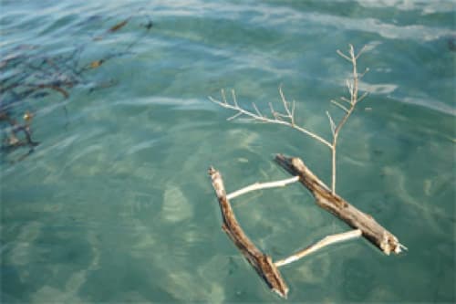 Firefly Counselling and Consulting - Sherwood Park gallery image 4