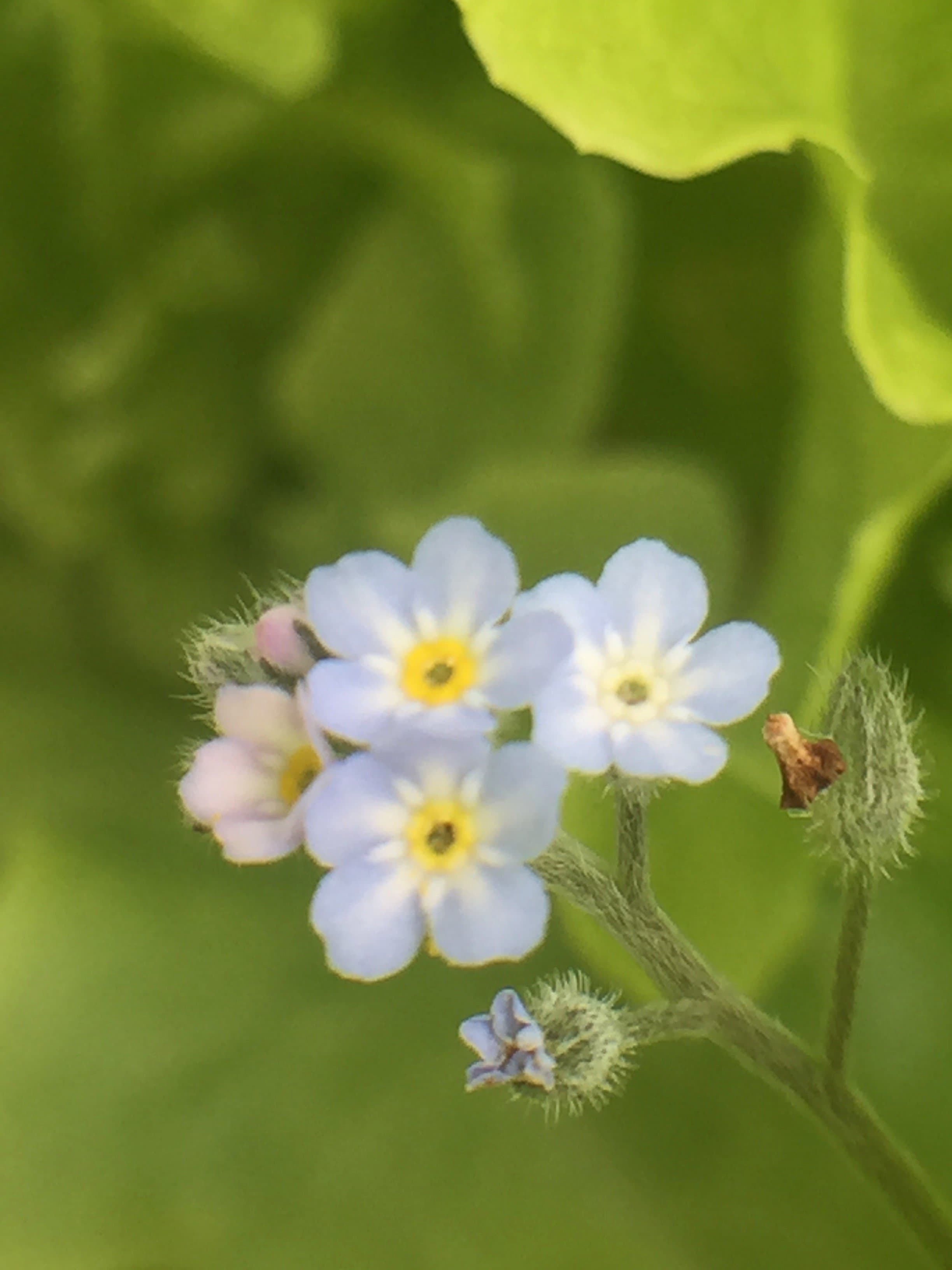 Jen Owens Yoga & Biodynamic Craniosacral Therapy gallery image 4
