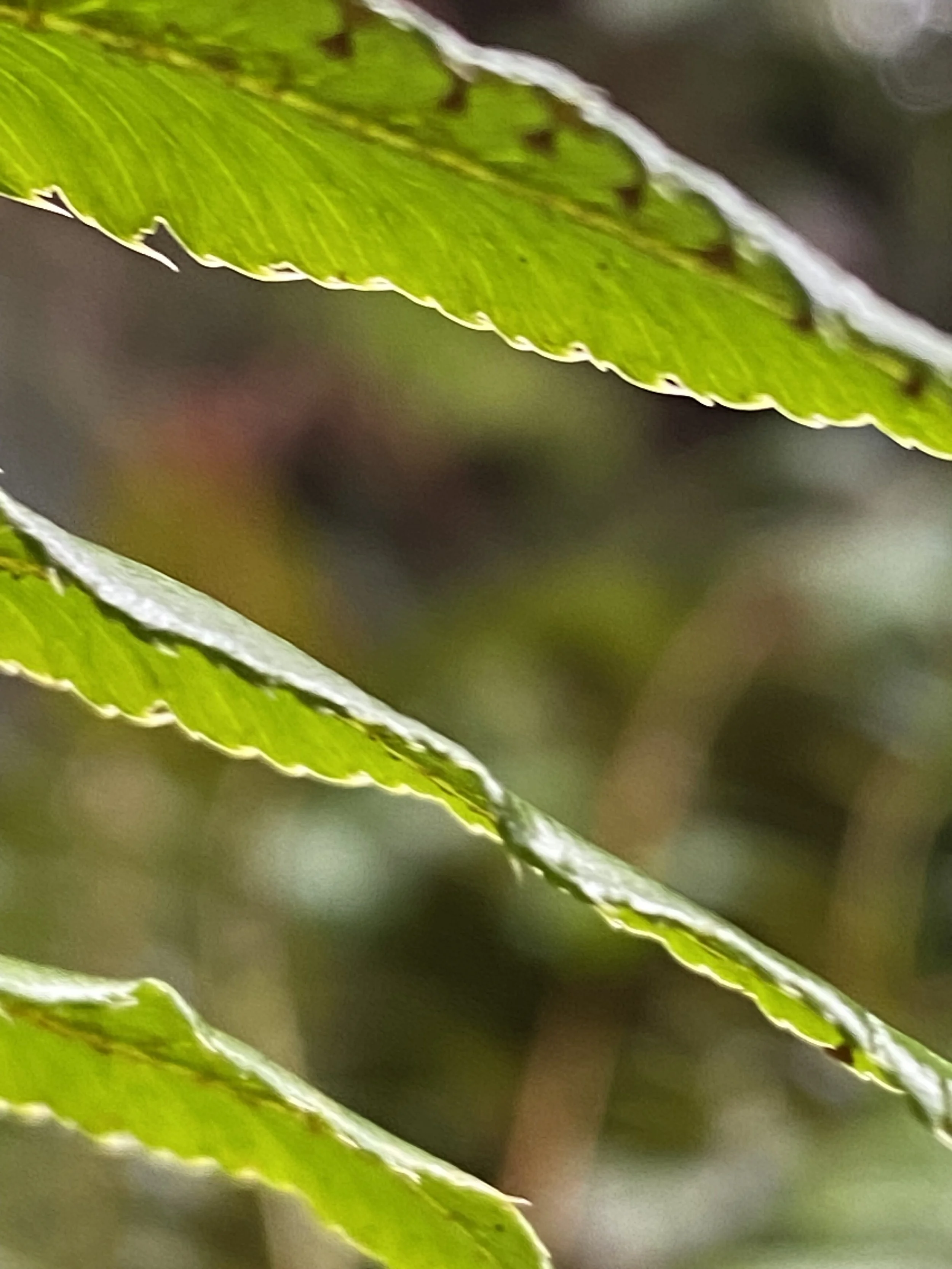 Jen Owens Yoga & Biodynamic Craniosacral Therapy gallery image 3