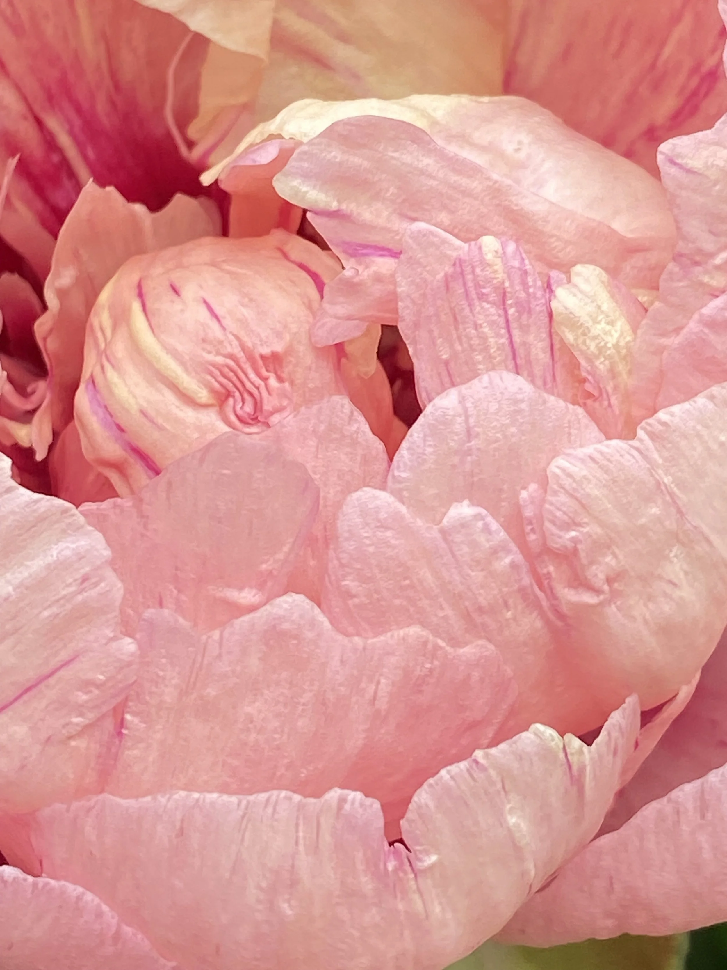 Jen Owens Yoga & Biodynamic Craniosacral Therapy gallery image 2