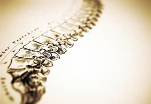 McFadden Chiropractic and Massage gallery image 4