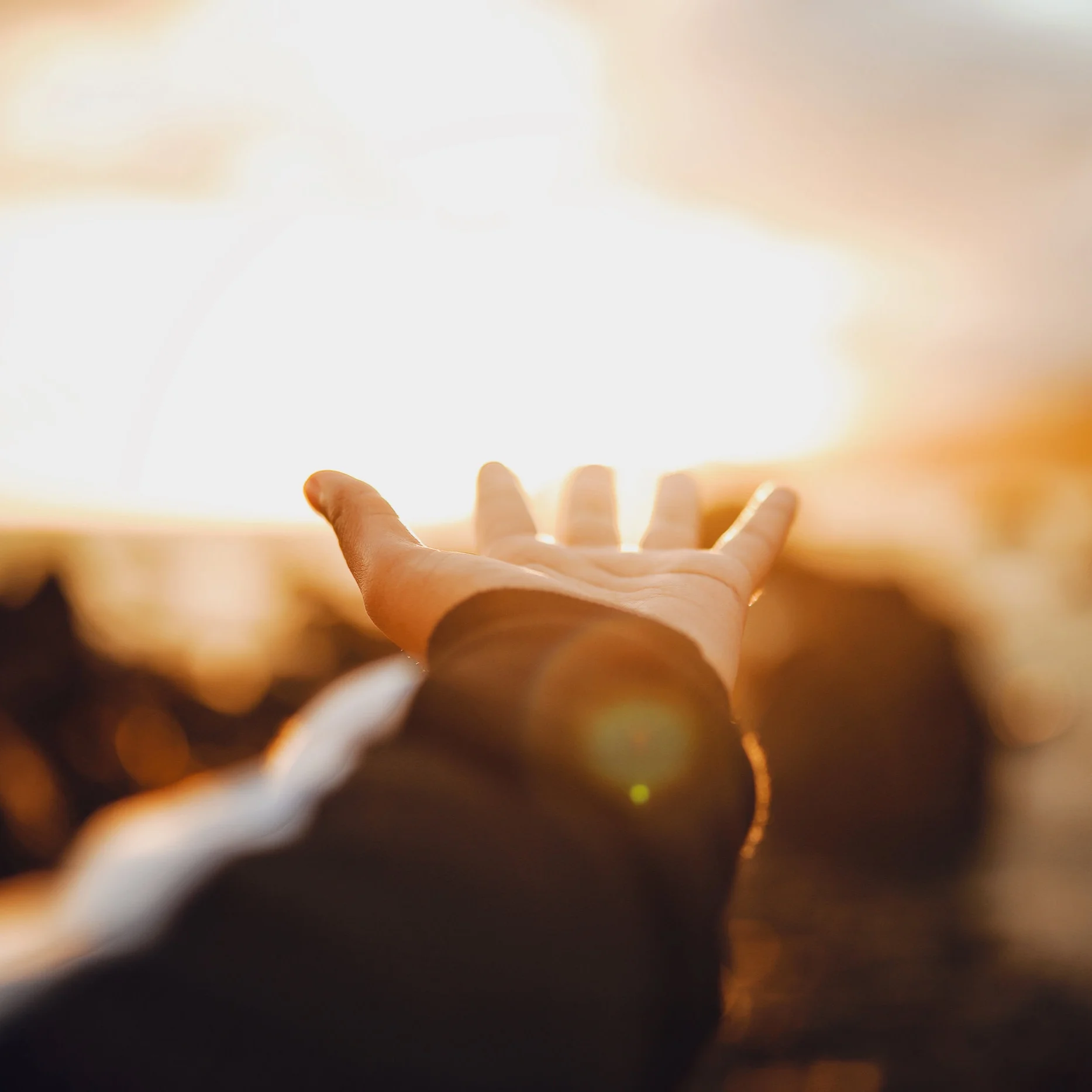 The Compass Rose Health and Wellness Centre gallery image 3