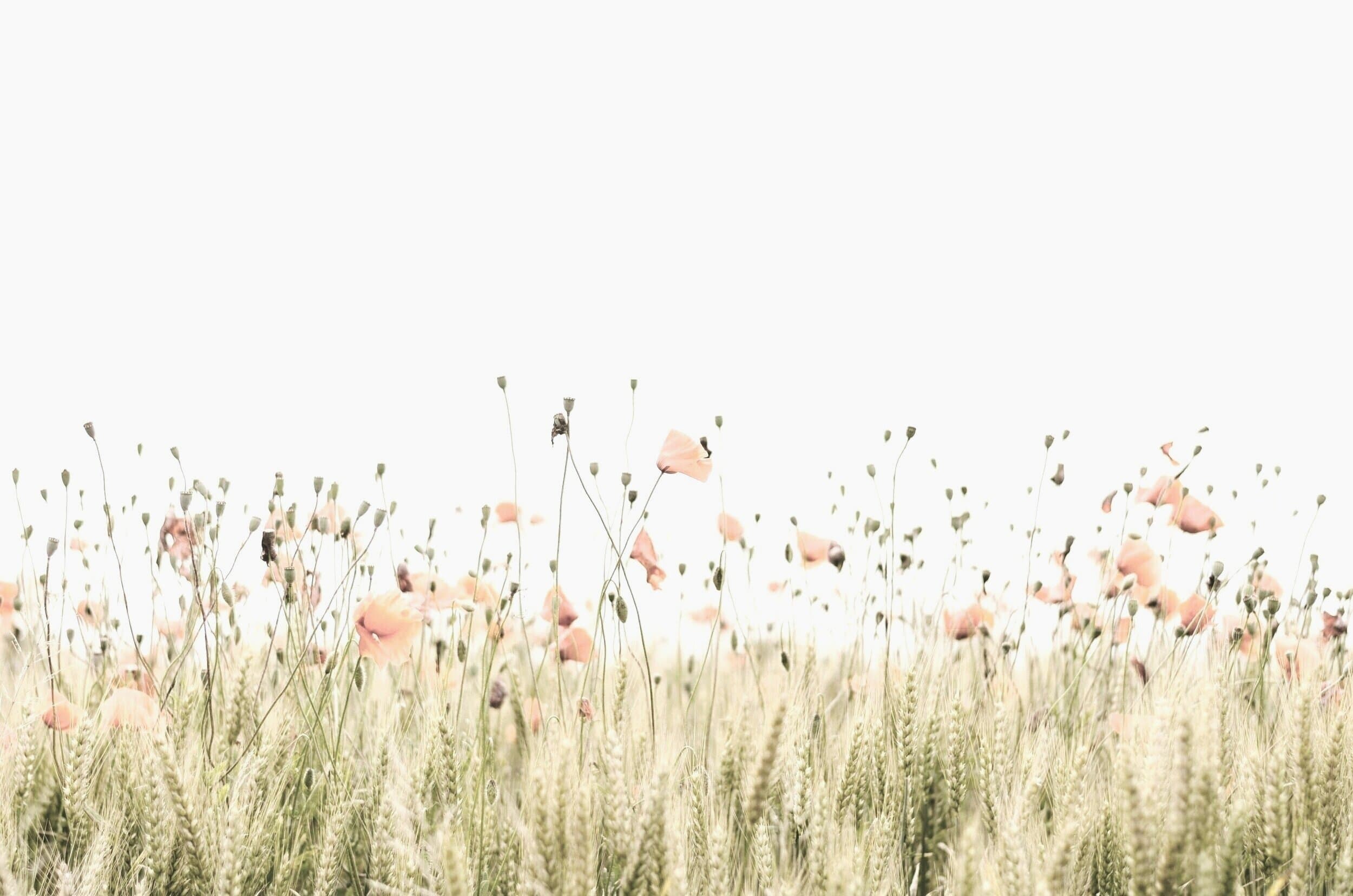 My Inner Self ~ Health and Wellness gallery image 2