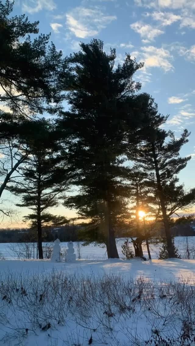 Yoga Nomads gallery image 4