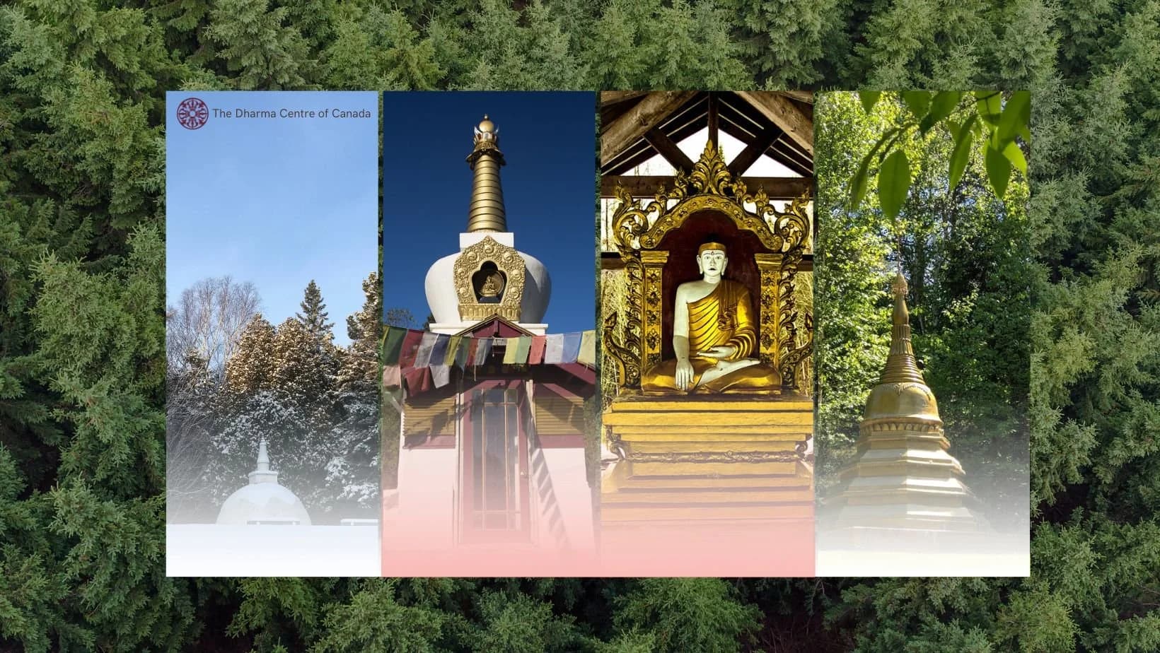 The Dharma Centre of Canada gallery image 2