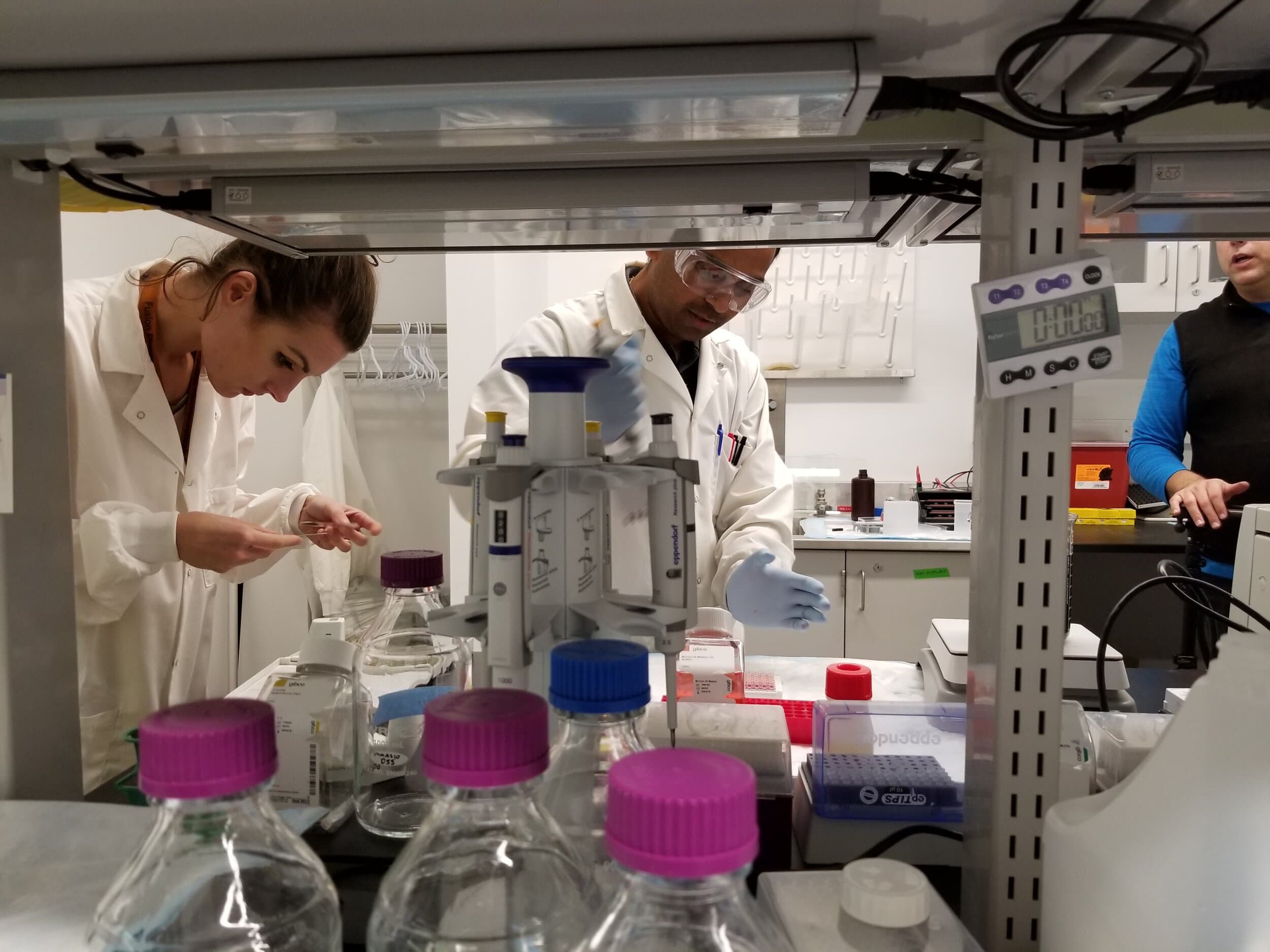 Fitness@MIP gallery image 5