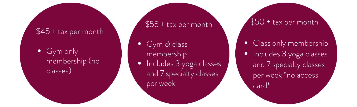 Fitness@MIP gallery image 3