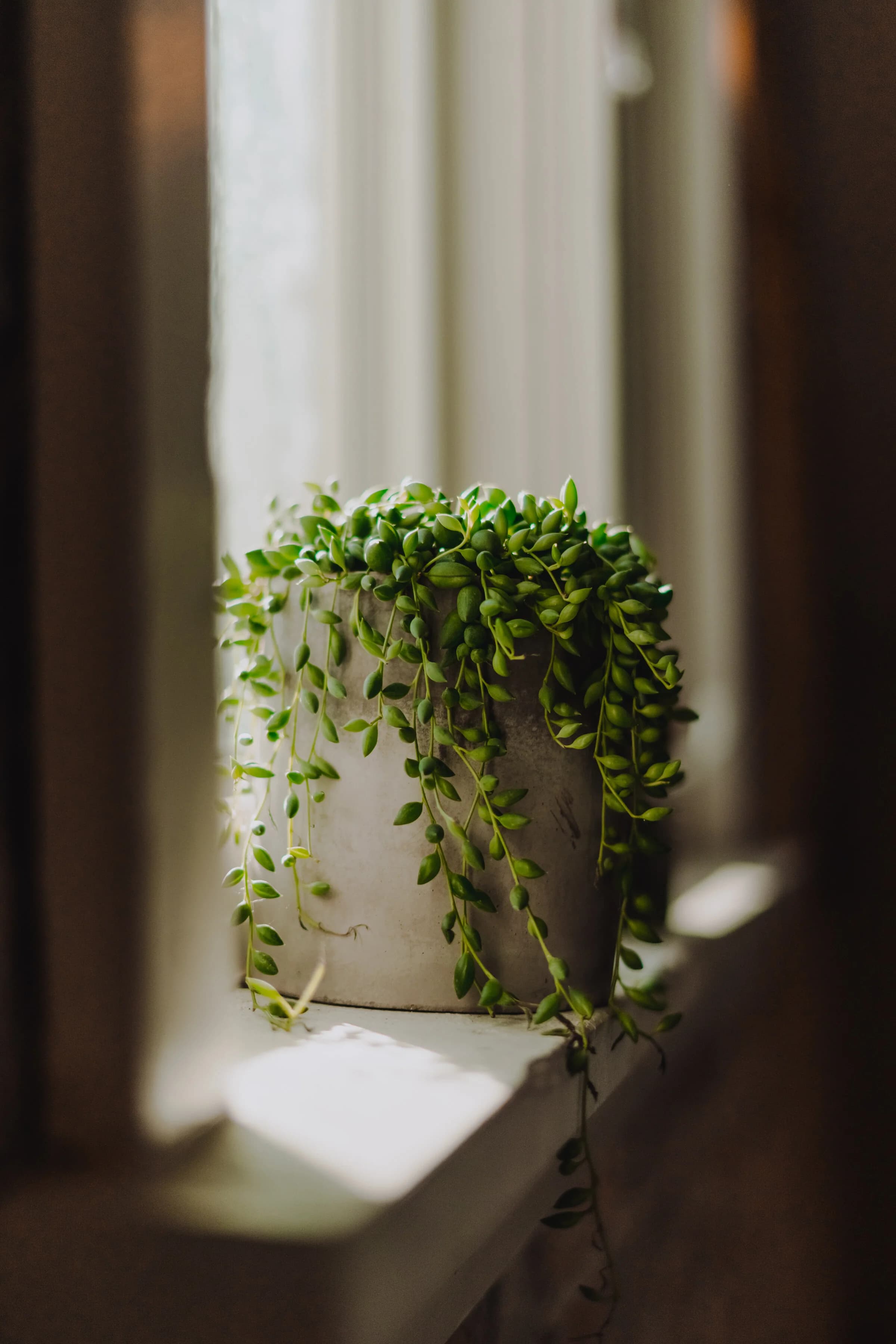 The Coach House Therapeutic Centre gallery image 5