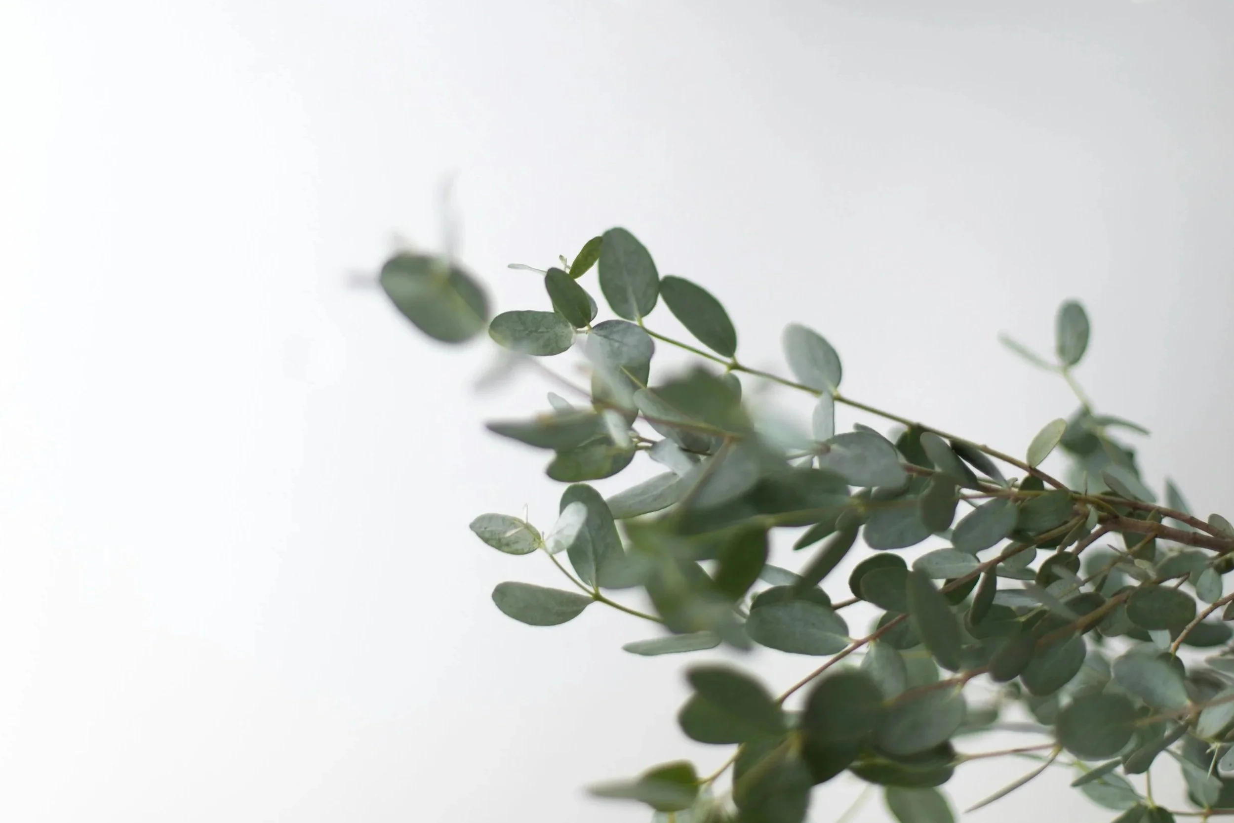 NKD Wellness gallery image 5