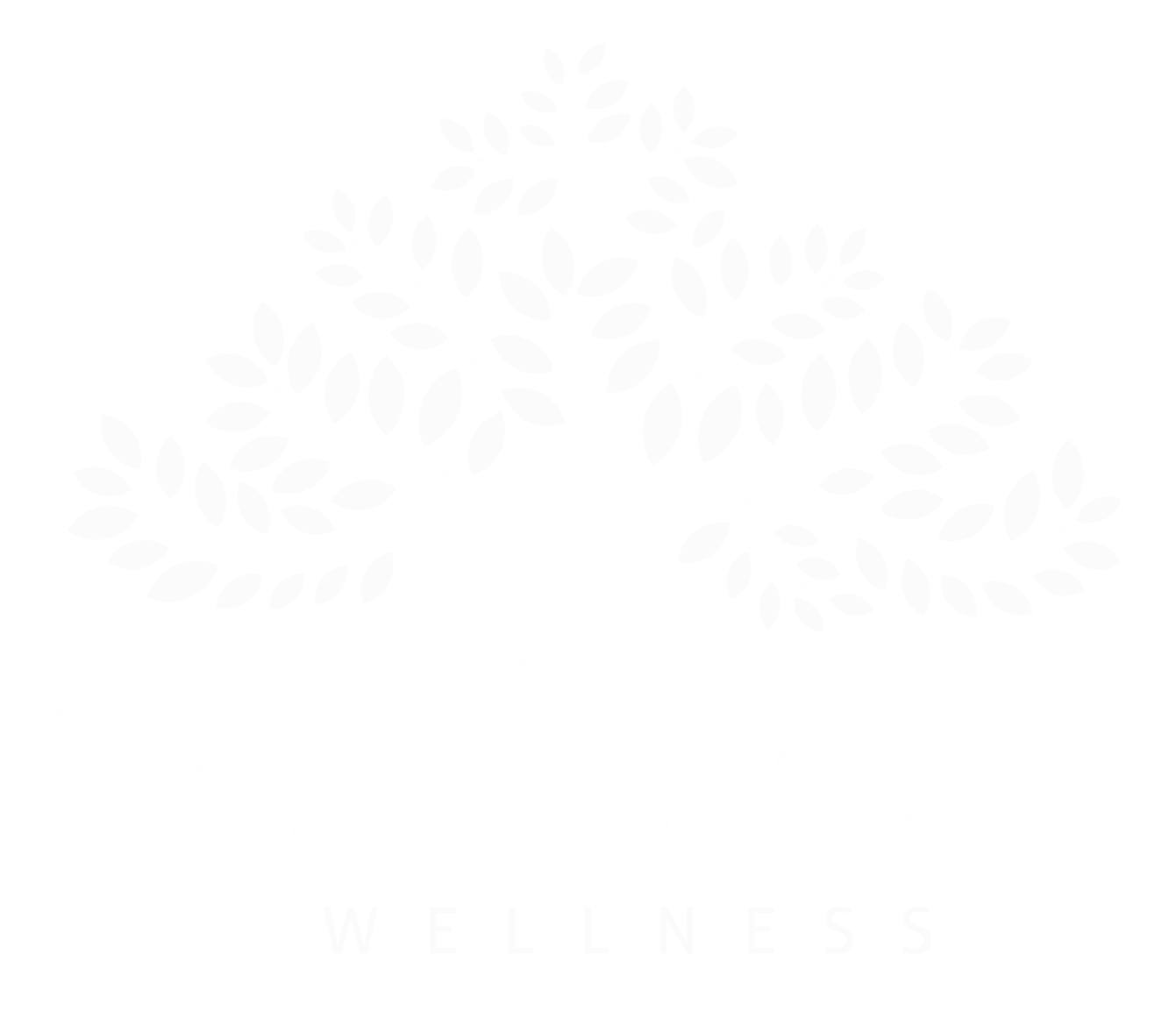 Mulberry Wellness gallery image 4