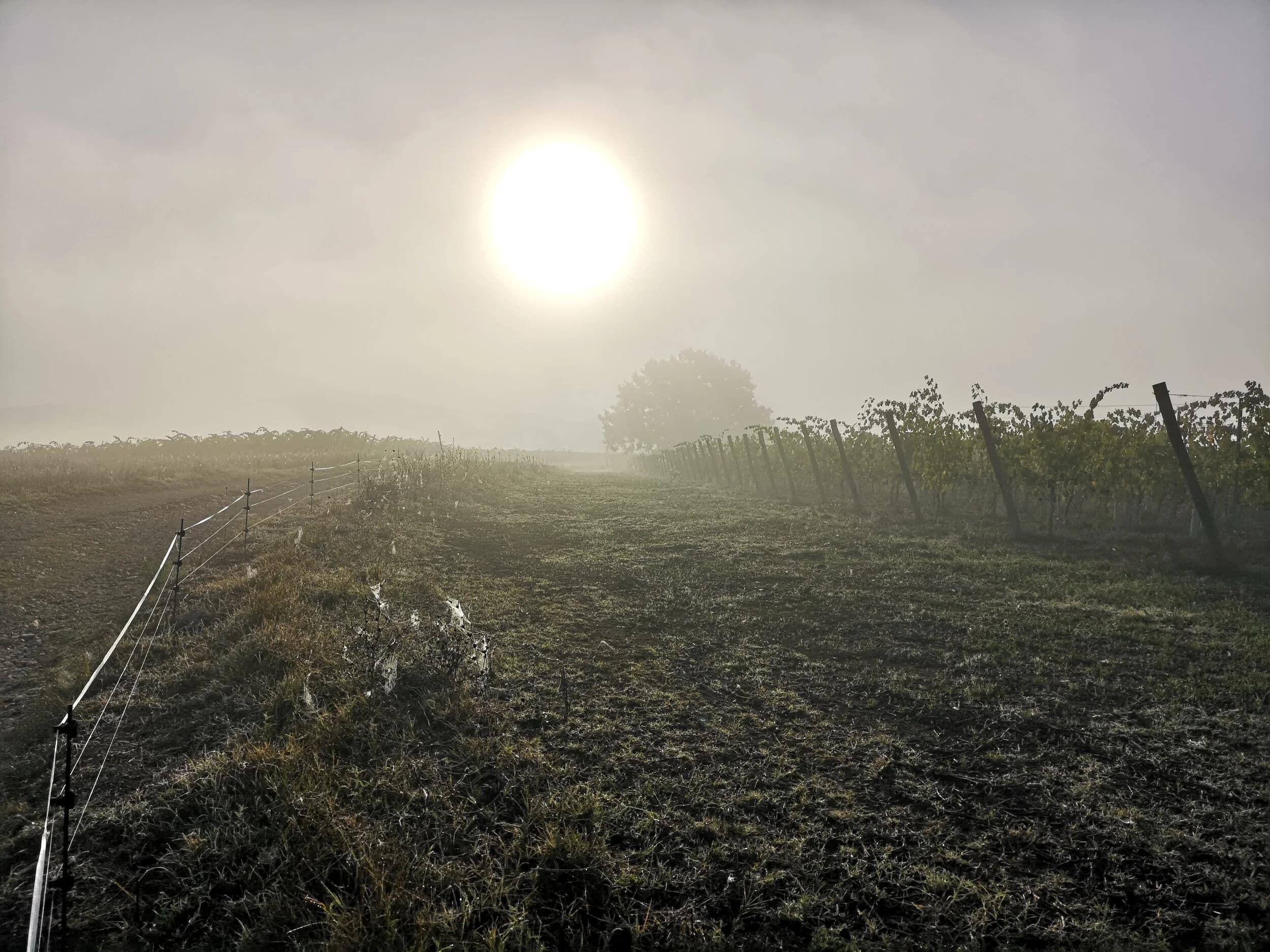 Meditation As Medicine gallery image 3