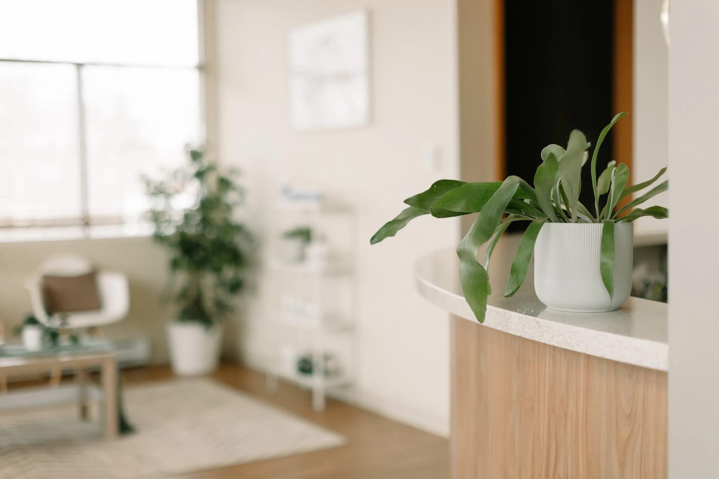 The Dartmouth Wellness Collective - Acupuncture, Massage Therapy, Naturopath, BioScan gallery image 2