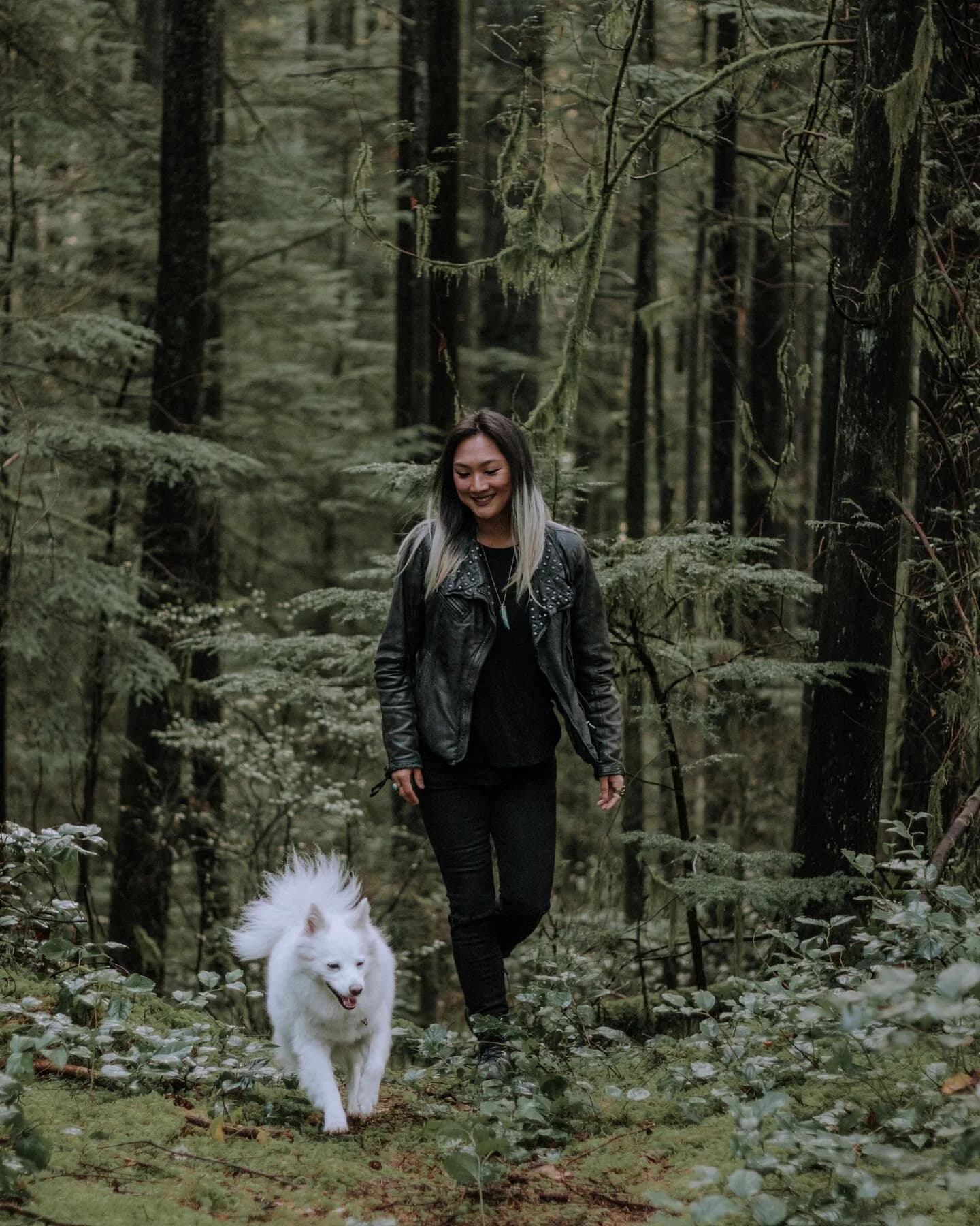 Fox and Forest Wellness gallery image 3