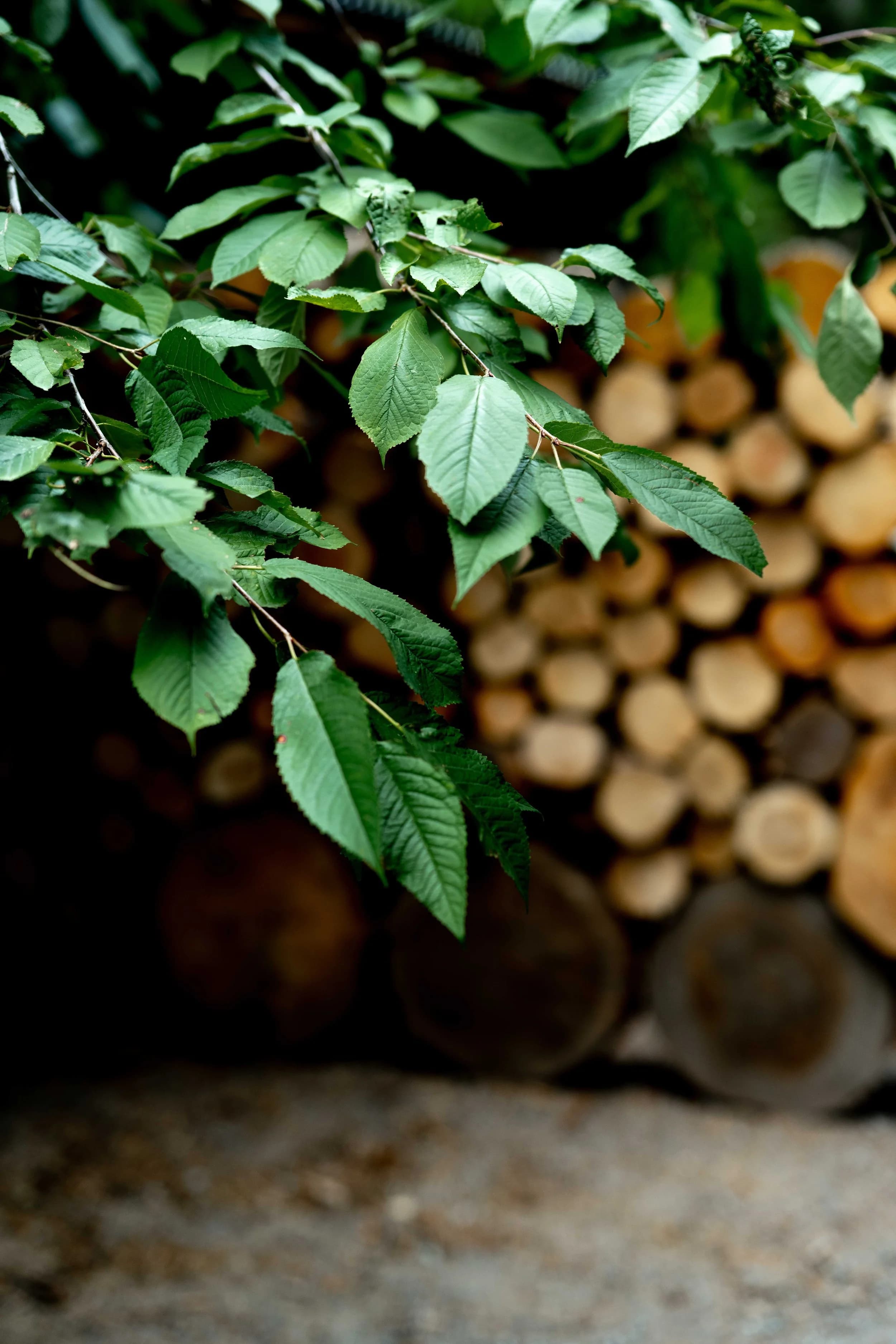 AIKA Spa gallery image 5