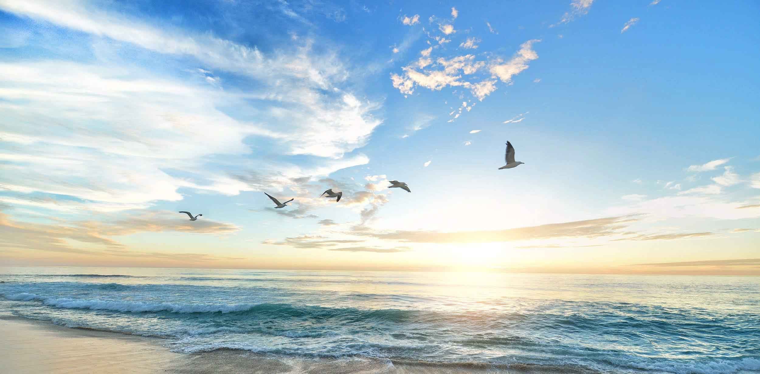 Jill Fischer International gallery image 2