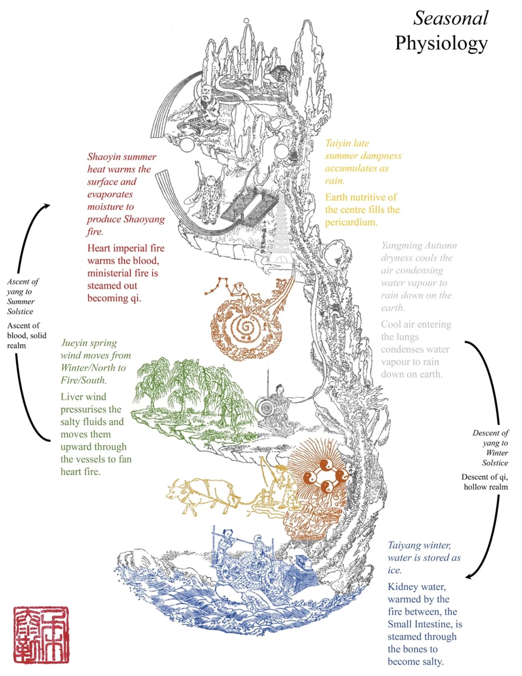 Wild Roots Traditional Chinese Medicine and Acupuncture Clinic gallery image 3