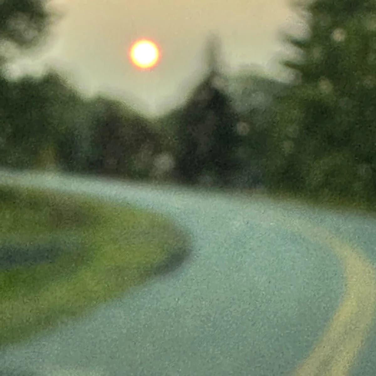 pie mindfulness gallery image 5