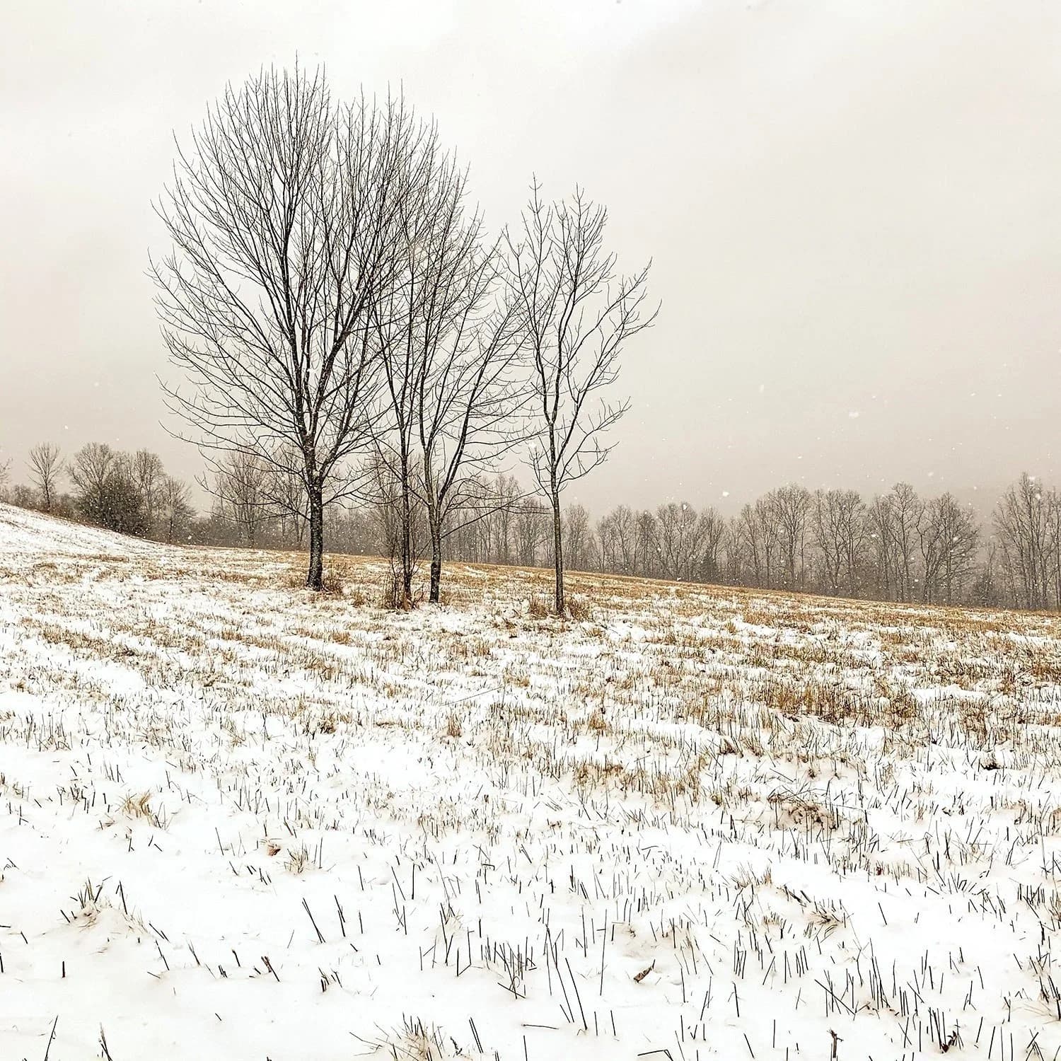 pie mindfulness gallery image 3