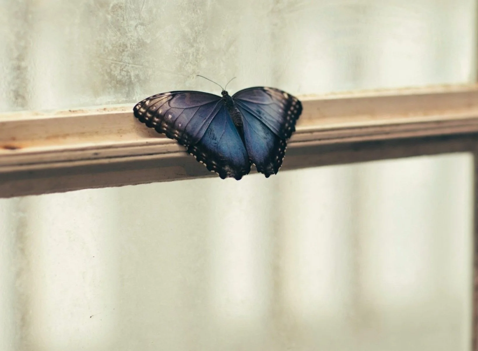 Newmarket Psychotherapy Team gallery image 2