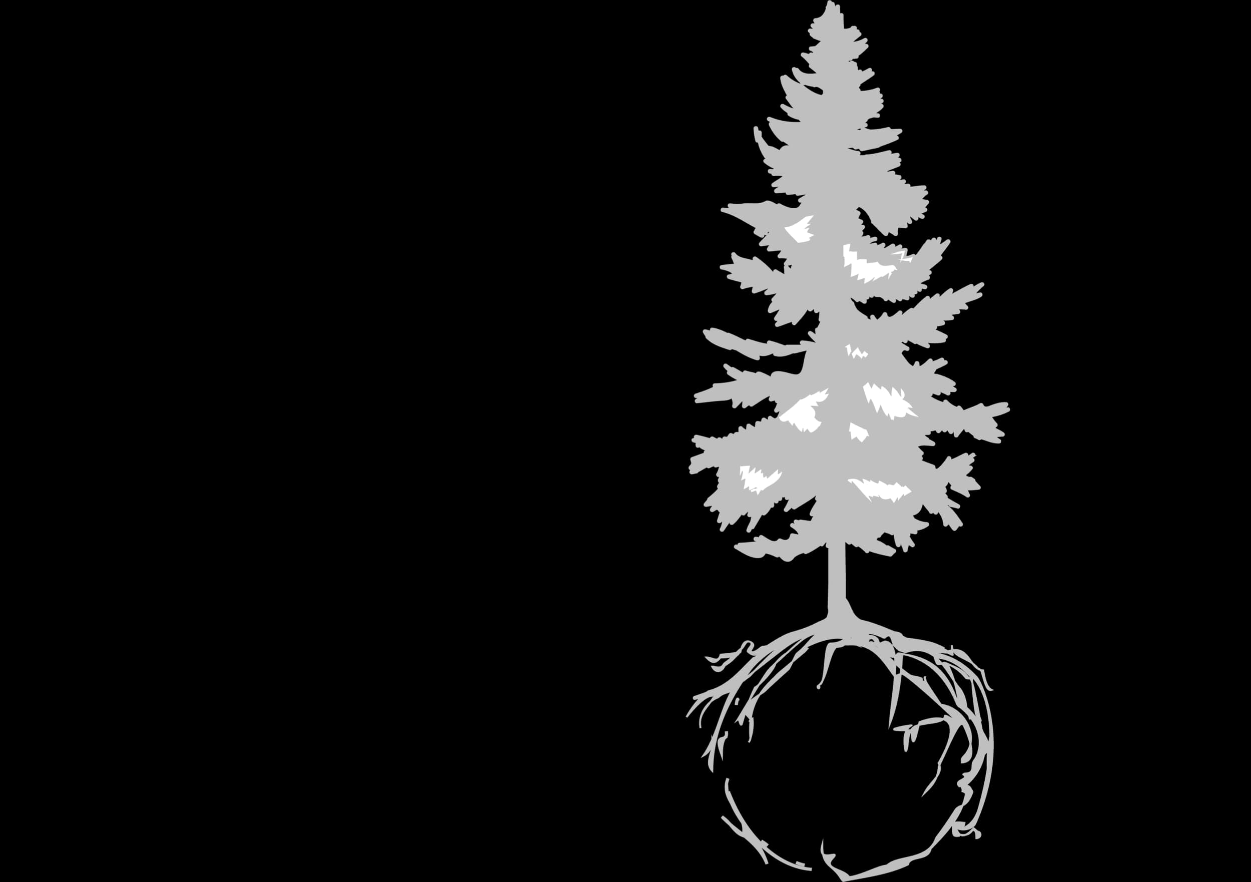 the back forty gallery image 3