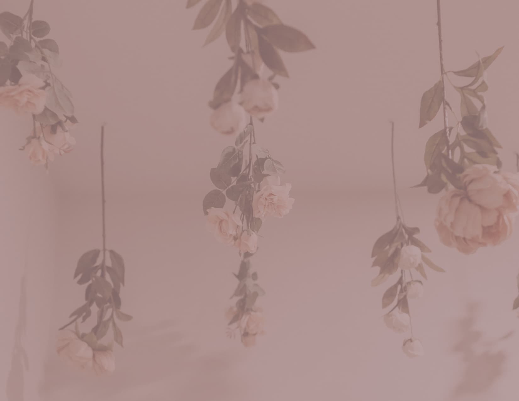 SALT Day Spa gallery image 2