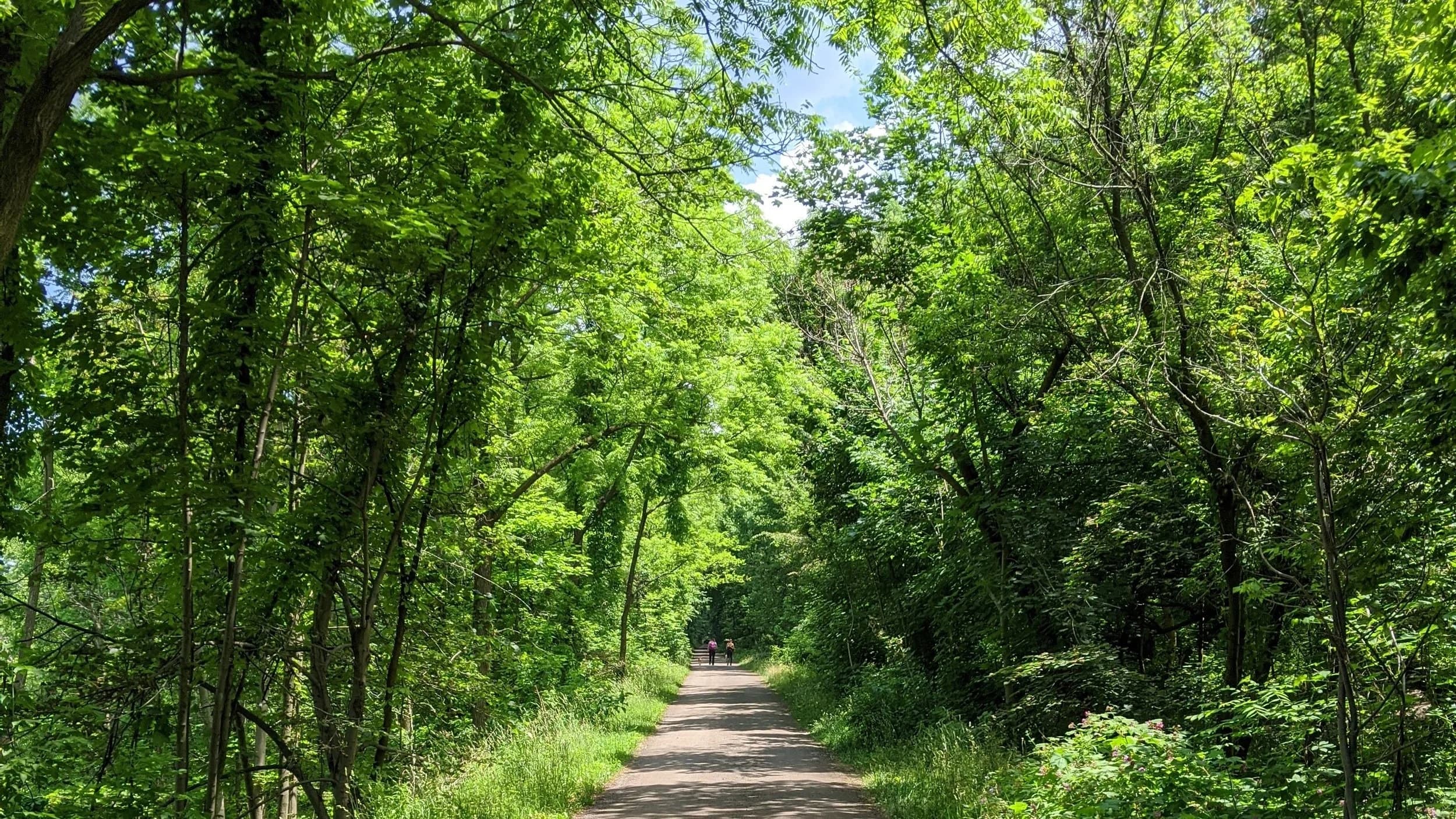 Airdrie Osteopathy (Inside Mountain Health Team)