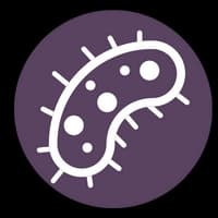 Holly Bradich gallery image 4