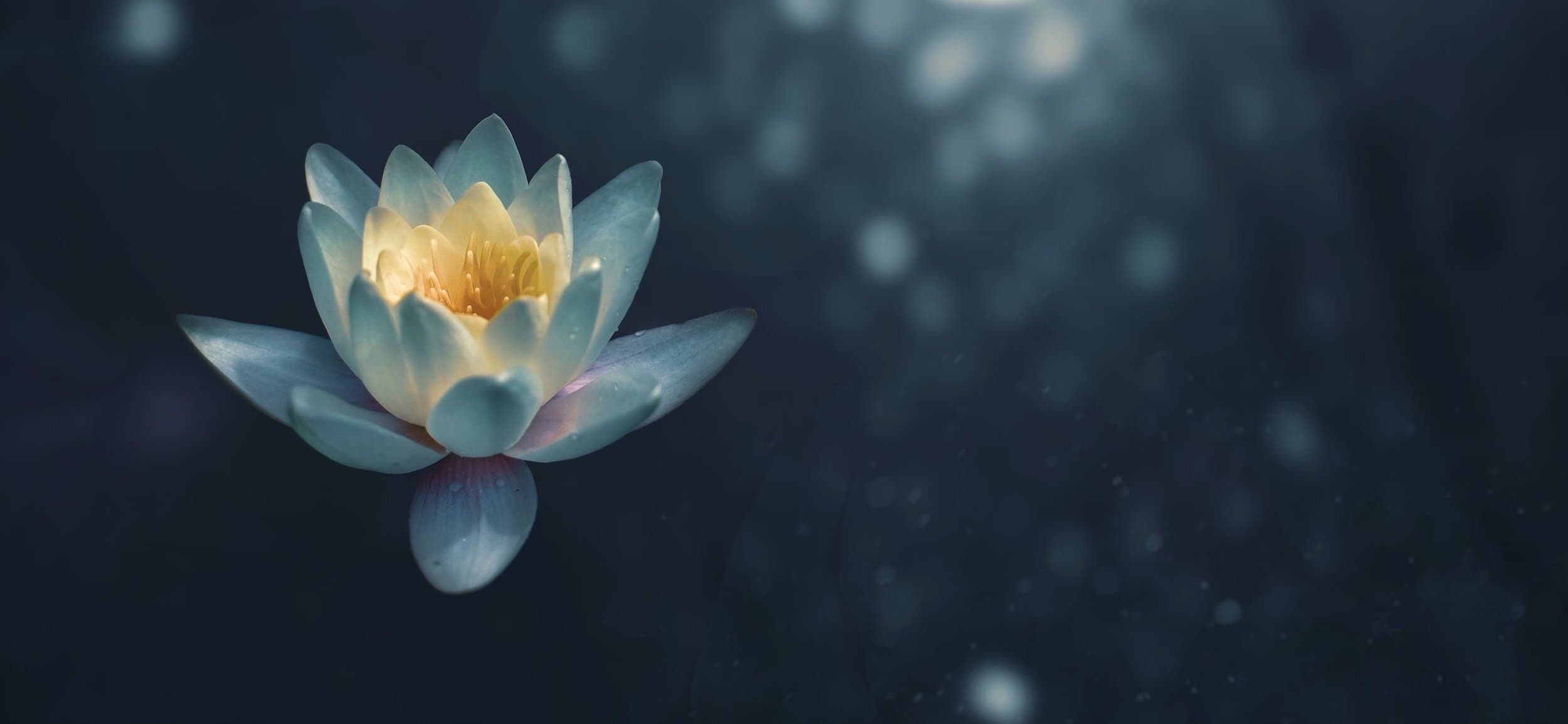 Mindfulness at Centrepointe gallery image 2